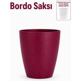 Orkide Saksısı Dekoratif Dış Saksı Vişne1 Adet- 12 Pot Şeffaf Orkide Üretim Saksısı Hediyeli