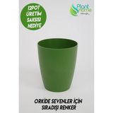 Orkide Saksısı Koyu Yeşil Dekoratif Dış Saksı 1 Adet- 12 Pot Şeffaf Orkide Üretim Saksısı Hediyeli