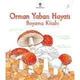 Orman Yaban Hayatı Boyama Kitabı - Jenny Cooper