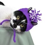 Örme Kedi Şapkası Mor Renk Yılbaşı Şapkası