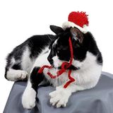 Örme Kedi Şapkası Yılbaşı Şapkası