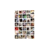 Ororabutik 35 Adet Kedi Tatlı Komik Sticker Seti - Etiket Seti Sketchbook