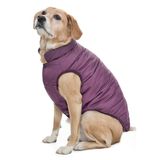 Orta Irk Köpek Mont - Magor