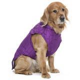 Orta ve Büyük Irk Köpek Mont - Kylo