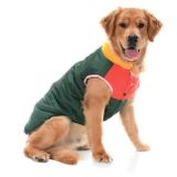 Orta ve Büyük Irk Köpek Mont - Murpota Yeşil
