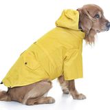 Orta ve Büyük Irk Köpek Yağmurluk - Sakha