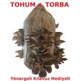 Ortalama 750 Adet İstiridye Mantarı Tohumu, Ekim Poşeti Ve Klavuz