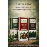 Ortam Ferahlığı Ve Enerji Dengeleyici Yağ Seti (Defne Yağı & Sedir Ağacı Yağı & Sandal Ağacı Yağı)