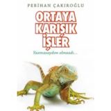 Ortaya Karışık İşler - Perihan Çakıroğlu