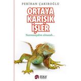 Ortaya Karışık İşler Yazmasaydım Olmazdı - Perihan Çakıroğlu