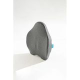 Ortopedik Visco Sırt Bel Destek Yastığı 54X42X9 cm