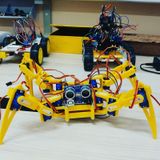 Örümcek Robot 12 Sg90 Siyah