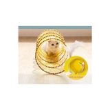Orvessa Katlanabilir Kedi Tüneli, Eğlence ve Gizlenme Alanı Kedi ve Köpek Yatağı - Seçenek 1 - Siyah