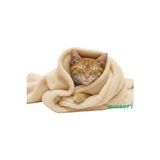 Orvessa Peluş Kedi Battaniyesi 60X80 cm Kedi ve Köpek Yatağı - Seçenek 1 - Siyah