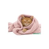 Orvessa Yumuşak Peluş Kedi Battaniyesi 60X80 Cm, Sıcacık ve Konforlu Kedi ve Köpek Yatağı 60X80 cm - Seçenek 1 - Siyah