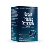 Orzax Tribulus Terrestris 500 Mg 60 Kapsül
