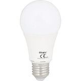 Osaka Light 15W A60 LED Ampul Günışığı 10'lu Paket - Gün Işığı