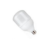 Osaka Light 60W LED Ampul Günışığı - Gün Işığı