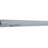 Osaka Light 6W T5 22 cm Floresan Ampul