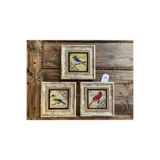 Oscar Stone Decor Çerçeveli Taş Tablo 20X20 Cm 3 Lü Set Renkli Kuşlar Color Birds 3Cdd-40-285