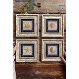 Oscar Stone Decor Çerçeveli Taş Tablo Duvar Dekoru 20x20cm 4'lü Set Deniz Kabuğu Seti Shell 4-4CDD-190