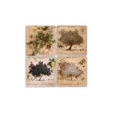 Oscar Stone Decor Doğaltaş Bardak Altlığı- 4 Lü Set(10 Cm X10 Cm) Ba310