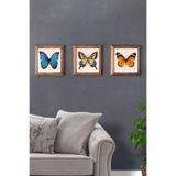 Oscar Stone Decor Masif (ahşap) Çerçeveli 3'lü Set Taş Tablo Pano 28x28 Cm Buuterfly Set Kelebek Set 3PRMT-40-0090