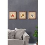 Oscar Stone Decor Masif (ahşap) Çerçeveli 3'lü Set Taş Tablo Pano 28x28 Cm Deniz-marin-shell-star 3PRMT-10-0001