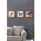 Oscar Stone Decor Masif (Ahşap) Çerçeveli 3'lü Set Taş Tablo Pano 28X28 cm Kelebek-Butterfly