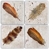 Oscar Stone Decor Taş Bardak Altlığı Stone Coasters - 4 Lü Set(10 Cmx10 Cm) Tüy Feather