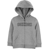 Oshkosh Küçük Erkek Çocuk Sweatshirt Gri - 3 Yaş