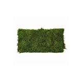 OSKARYUM Orkide Toprağı, Canlı Yosun, Spagnum Yosun, Teraryum Yosunu 5LT