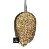 OSMANLI TARIM BUĞDAY TOHUMU KEDİ ÇİMİ 1 KG