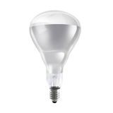 Osram 250 W IR BR40 CL 240V E27 İnfrared Ampul