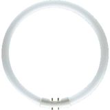 Osram FC 40W / 830 Sıcak Beyaz Halka Floresan Lamba 3400lm
