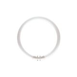 Osram Fc T5 40w/840 1ct/10 4000kelvin Günışığı Floresan Ampul