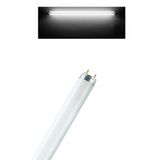 Osram Lumilux He 35W T5 Floresan Ampul 150 Cm Beyaz - 6500K