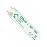 Osram Lumilux T8 L 18w/865 6500k Florasan Lamba 60cm Beyaz Işık