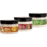 Ostwint Yüz ve Vücut Scrub Jel Peeling ile Yüz Maskesi 3'lü Set – Derin Cilt Temizliği ve Canlandırıcı Bakım