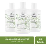 Otacı Botanics+ 10 Bitki Özü ve Biotin İçeren Canlandırıcı & Besleyici Bakım Bitkisel Şampuan Üçlü Paket 3×375 ml