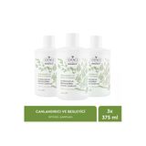 Otacı Botanics+ Canlandırıcı & Besleyici Bakım - 10 Bitki Özü ve Biotin İçeren Bitkisel Şampuan Üçlü Paket