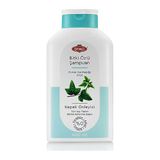 Otacı Ivy Duvar Sarmaşığı 400 ml Kepek Şampuan