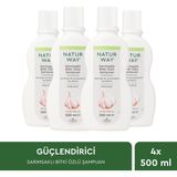 Otacı Naturway Sarımsaklı Şampuan 500 ml Dörtlü Paket