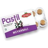 Otacı Pastil Meyanbalı - Nane