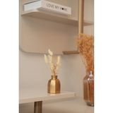 Otaera Vurgu Çizgiler Vazo | Tasarım Dekoratif Obje, Modern Çizgili Form, Salon ve Ofis Dekorasyonu, Pampas Vazo - Gold