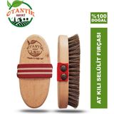 Otantik Hayat At Kılı Fırçası 1 Parça Tüm Cilt Tipleri İçin Doğal Malzeme - Kahverengi