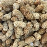 Otçu Ulukale Dut Kurusu Ufak Taneli - 100 gr