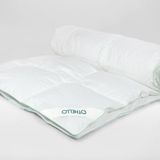 Othello 155x215 Coolla Yorgan