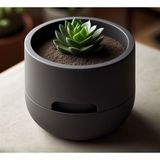 Other Akıllı Sulama Sistemli Modern Sukulent Saksısı - Self Watering Minimalist Tasarım-Self Watering Designed Succulent Planter