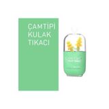 OTİFLEKS Otifleks Çam Tipi Kulak Tıkacı (M)